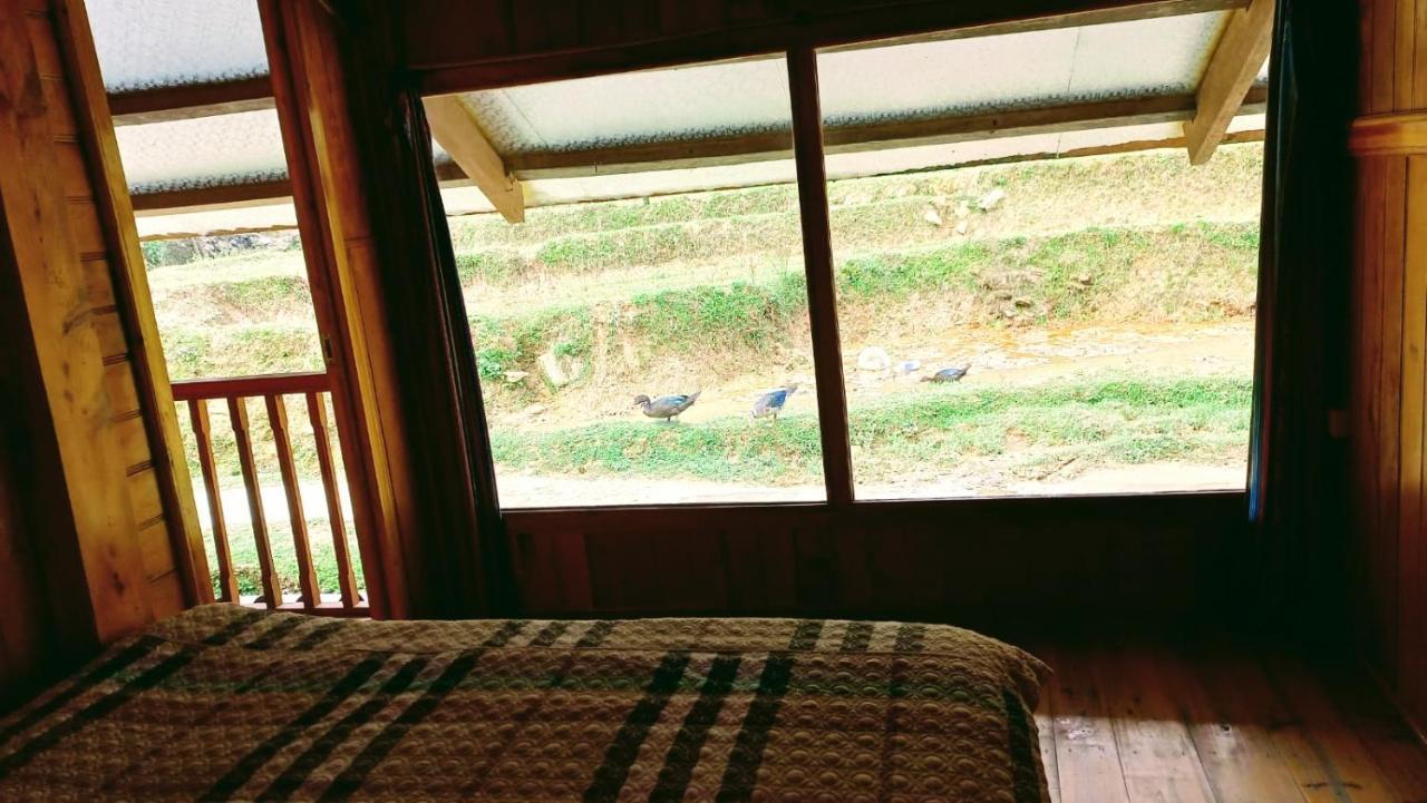 Madame View Homestay Сапа Екстериор снимка